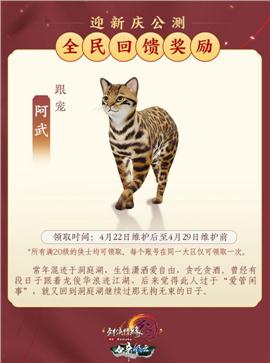 天龙八部私服凤凰合击